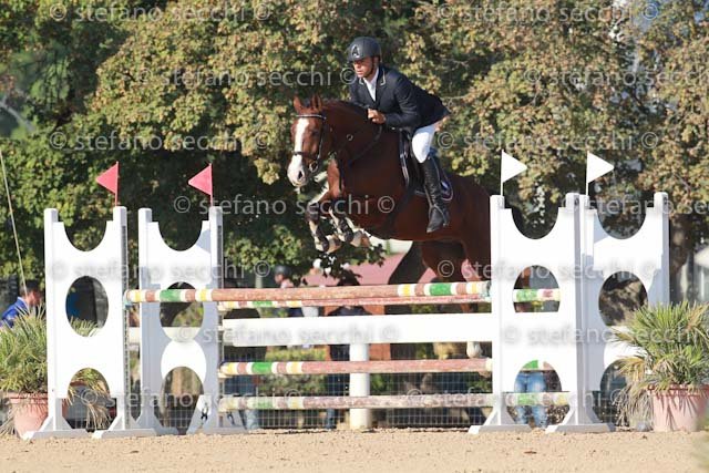 FRANCHI_CELLANO_GIO CAV 2011_SS3_6375.jpg